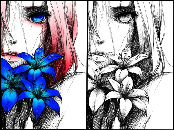 Anime picture 1200x900 with original revolmxd looking at viewer blue eyes pink hair tears monochrome multiview girl flower (flowers)