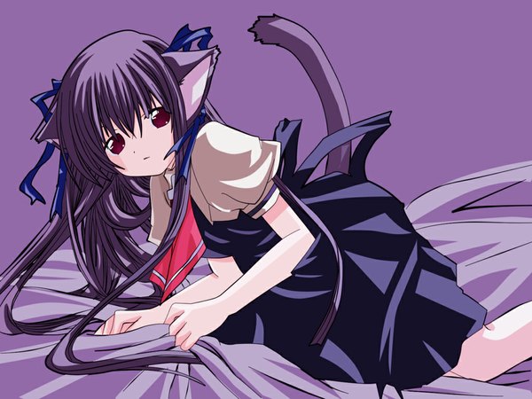 Anime picture 1024x768 with air key (studio) tohno minagi patoto single long hair looking at viewer fringe hair between eyes red eyes animal ears purple hair tail animal tail cat ears cat girl cat tail vector purple background girl