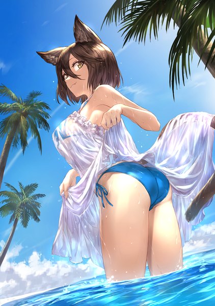 Anime picture 800x1136 with original guchico single tall image fringe short hair breasts light erotic hair between eyes brown hair large breasts bare shoulders animal ears yellow eyes sky cloud (clouds) ass tail animal tail looking back