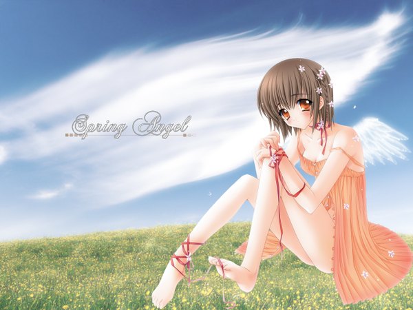 Anime picture 1280x960 with carnelian single blush short hair brown hair sitting barefoot inscription orange eyes wallpaper legs angel wings field girl flower (flowers) ribbon (ribbons) plant (plants) wings grass chemise