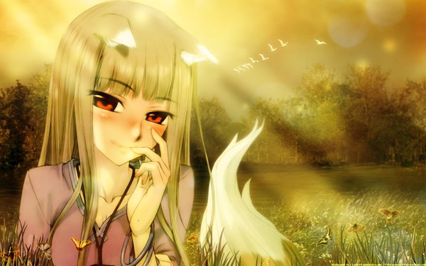 Anime picture 1920x1200 with spice and wolf horo long hair blush highres red eyes wide image animal ears tail wolf ears wolf tail wolf girl photo background girl