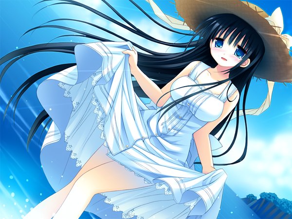 Anime picture 1024x768 with natsu yuki - summer snow sawatari natsuki long hair blush blue eyes black hair game cg girl hat sundress