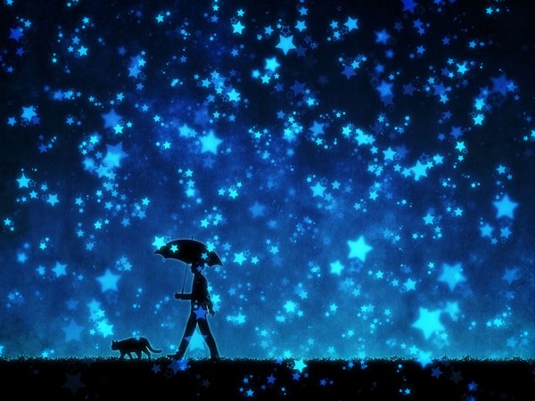 Anime picture 2048x1536 with original urara256 highres short hair holding night night sky rain walking silhouette boy plant (plants) animal star (symbol) umbrella cat grass