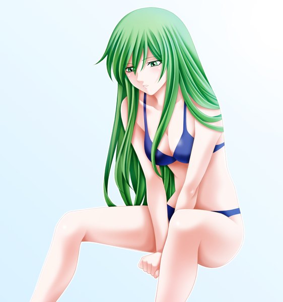 Anime picture 1500x1600 with fire emblem nephenee tamamon single long hair tall image looking at viewer breasts light erotic green eyes green hair girl swimsuit bikini