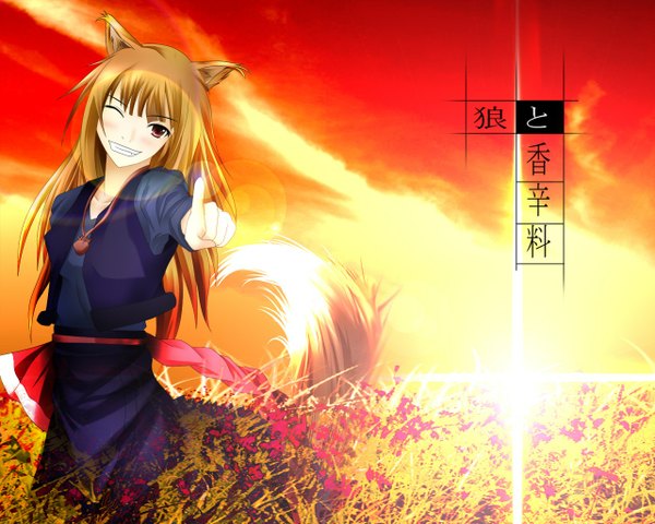 Anime picture 1280x1024 with spice and wolf horo long hair smile red eyes brown hair animal ears sky tail evening sunset wolf ears wolf tail wolf girl girl