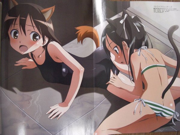 Anime picture 1229x922 with strike witches miyafuji yoshika francesca lucchini light erotic multiple girls animal ears ass tail striped shoujo ai butt crack girl 2 girls swimsuit bikini one-piece swimsuit side-tie bikini school swimsuit striped bikini