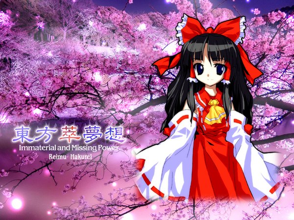 Anime picture 1024x768 with touhou hakurei reimu girl tagme