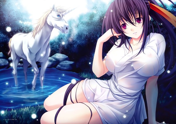 Anime picture 8585x6068 with highschool dxd himejima akeno miyama zero long hair looking at viewer highres breasts light erotic large breasts purple eyes absurdres purple hair ponytail scan official art girl animal horse unicorn