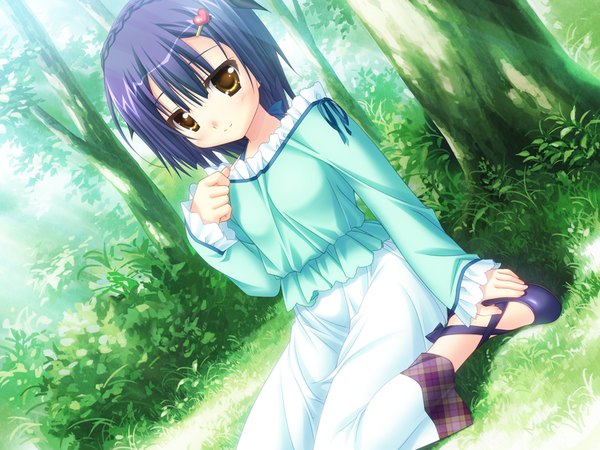 Anime picture 1024x768 with koiimo sweet days yasaho akane blush short hair yellow eyes game cg purple hair loli girl plant (plants) tree (trees)