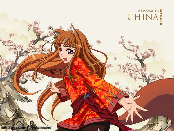 Anime picture 1600x1200 with spice and wolf horo single long hair smile red eyes brown hair animal ears animal tail chinese clothes wolf ears wolf tail wolf girl plum blossoms girl flower (flowers) branch
