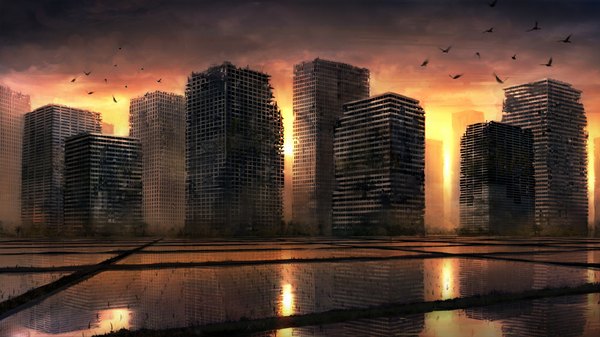 Anime picture 1000x562 with original seafh (artist) wide image sky city no people ruins morning sunrise plant (plants) animal water bird (birds) building (buildings)