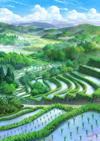 Anime picture 1920x2715 with original niko p tall image highres signed sky cloud (clouds) no people landscape scenic fog plant (plants) tree (trees) bushes rice paddy