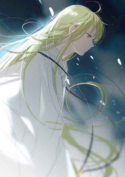 Anime picture 1999x2828 with fate (series) fate/strange fake enkidu (fate) rrr (reason) single long hair tall image highres looking away profile green hair androgynous boy