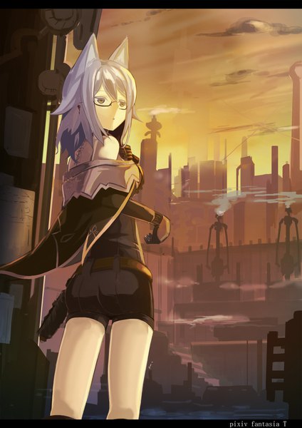 Anime picture 1240x1754 with original pixiv fantasia pixiv fantasia t rin falcon single long hair tall image bare shoulders animal ears looking away sky ass parted lips looking back grey hair from behind :o city evening sunset