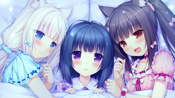 Anime picture 1280x720 with neko paradise neko works (studio) vanilla (nekopara) chocola (nekopara) minazuki shigure sayori long hair looking at viewer blush fringe short hair open mouth blue eyes black hair smile wide image purple eyes twintails multiple girls brown eyes