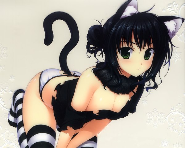 Anime picture 2000x1600 with alpha (yukai na nakamatachi) highres light erotic black hair white background green eyes animal ears cat girl torn clothes girl thighhighs underwear panties collar striped thighhighs
