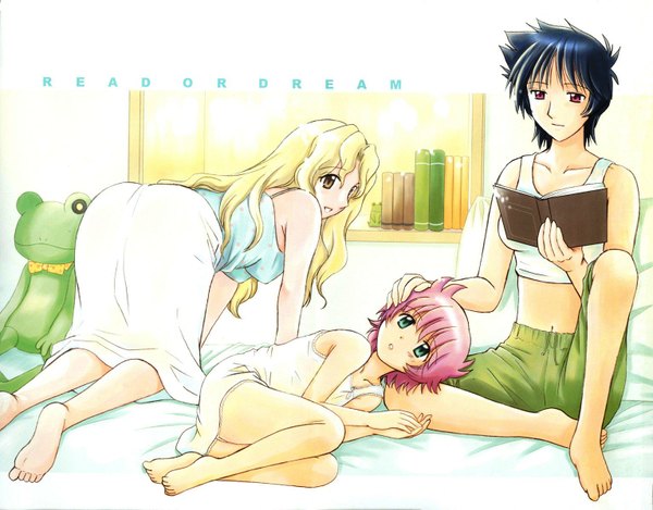 Anime picture 1532x1200 with read or die j.c. staff anita king michelle cheung maggie mui