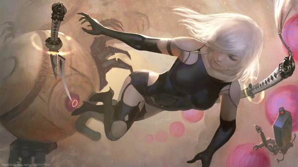 Anime picture 1920x1080 with nier nier:automata yorha type a no. 2 pod (nier:automata) raivis draka single long hair fringe highres breasts wide image signed looking away silver hair full body bent knee (knees) outdoors lips hair over one eye mole