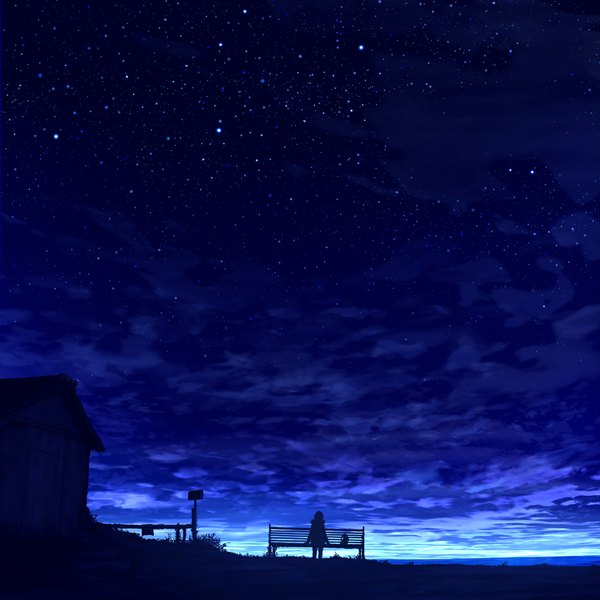 Anime picture 1100x1100 with original mks single sitting sky cloud (clouds) night scenic silhouette girl plant (plants) animal building (buildings) star (stars) cat grass bench mailbox