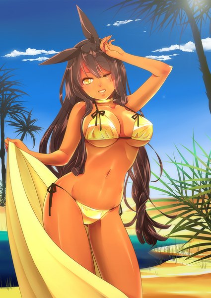 Anime picture 800x1130 with original pixiv fantasia pixiv fantasia v hira taira single long hair tall image light erotic black hair bare shoulders animal ears yellow eyes looking away sky cloud (clouds) one eye closed wink midriff dark skin sand