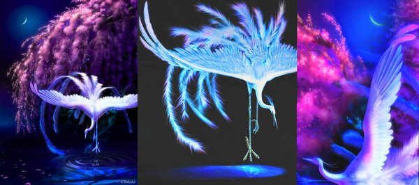Аниме картинка 1800x800 с оригинальное изображение takashi mare высокое разрешение широкое изображение ночь мультипросмотр полумесяц растение (растения) животное лепестки крылья дерево (деревья) птица (птицы) перо (перья)