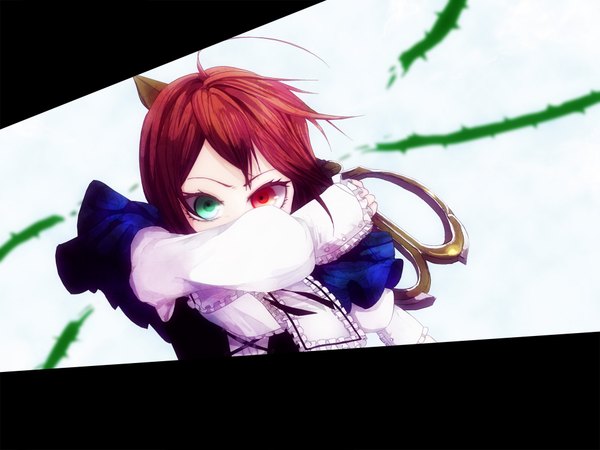 Anime picture 2000x1500 with rozen maiden souseiseki memai highres heterochromia