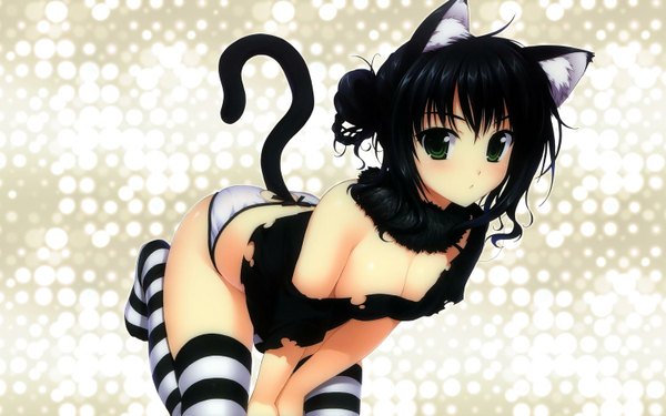 Anime picture 1500x938 with alpha (yukai na nakamatachi) single blush short hair breasts light erotic black hair wide image green eyes animal ears cat ears cat girl cat tail torn clothes cute girl thighhighs underwear panties fur