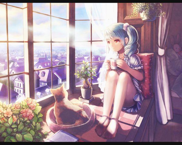 Anime picture 1200x960 with original soujirou single long hair red eyes sitting blue hair looking away bare legs girl dress flower (flowers) plant (plants) animal window cat