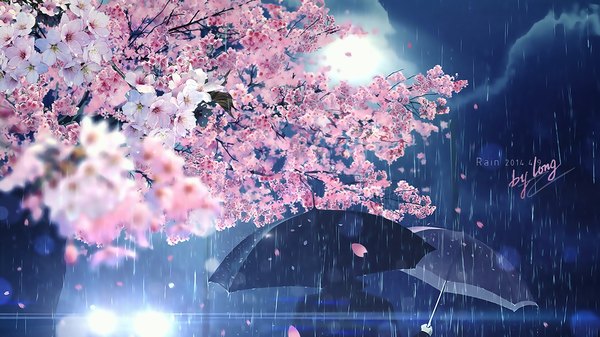 Anime picture 1280x720 with original skeleton heishi single wide image signed night depth of field wallpaper cherry blossoms light rain boy flower (flowers) plant (plants) petals tree (trees) umbrella