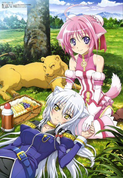 Anime picture 4083x5927 with dog days megami magazine millhiore f biscotti leonmitchelli galette des rois ishiyama hiroshi long hair tall image blush highres short hair purple eyes multiple girls animal ears yellow eyes pink hair absurdres ahoge white hair animal tail scan