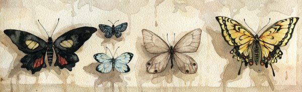 Anime picture 1298x400 with original pinkxxxna (artist) wide image no people brown background traditional media insect wings butterfly wings watercolor (medium) insect butterfly
