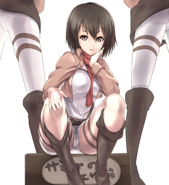 Anime picture 911x1000 with shingeki no kyojin production i.g mikasa ackerman sora to umi tall image looking at viewer short hair breasts light erotic black hair white background sitting brown eyes open clothes open jacket spread legs hand on cheek girl jacket shorts