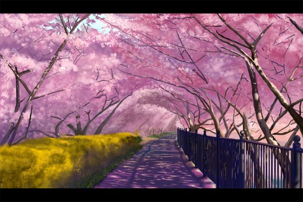 Anime picture 1280x853 with original peko (akibakeisena) cherry blossoms letterboxed no people landscape plant (plants) petals tree (trees) fence road