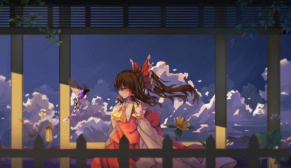 Anime picture 2400x1387 with touhou hakurei reimu dead line single long hair highres red eyes wide image sky cloud (clouds) upper body ponytail profile wind blurry wide sleeves depth of field expressionless girl skirt