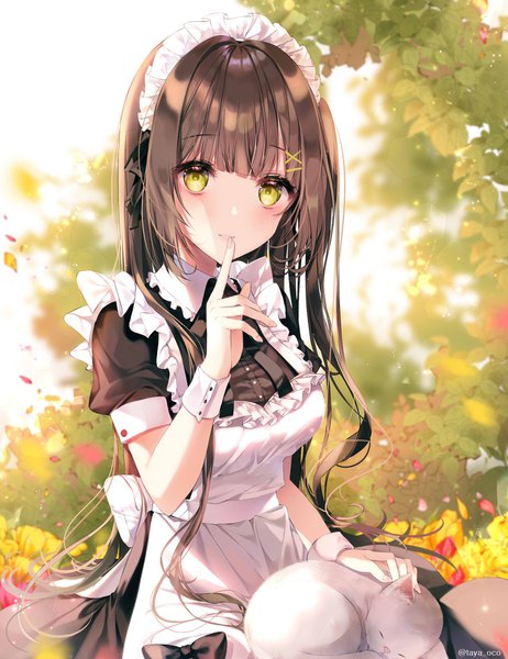 Anime picture 1576x2048 with original taya oco single long hair tall image looking at viewer blush fringe breasts brown hair sitting green eyes signed payot outdoors blunt bangs sunlight maid puffy sleeves twitter username