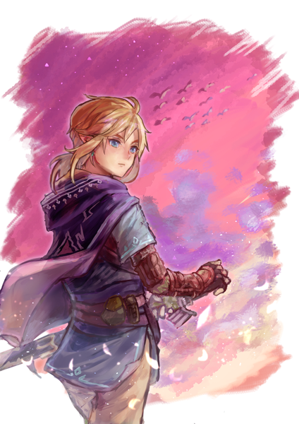 Anime picture 661x935 with the legend of zelda the legend of zelda: breath of the wild nintendo link aibon single long hair tall image blue eyes blonde hair standing looking away sky outdoors evening sunset low ponytail boy weapon animal