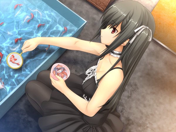 Anime picture 1024x768 with fluorite memories long hair black hair red eyes game cg girl dress black dress fish (fishes)