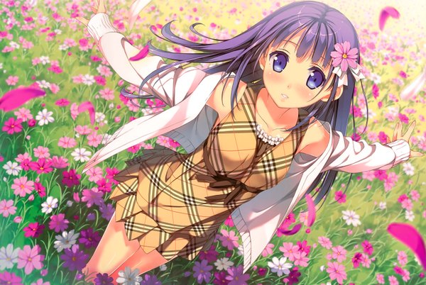 Anime picture 1500x1005 with kantoku single long hair looking at viewer blush breasts purple eyes purple hair hair flower spread arms field girl dress hair ornament flower (flowers) plant (plants) petals jacket plaid dress cosmos (flower)