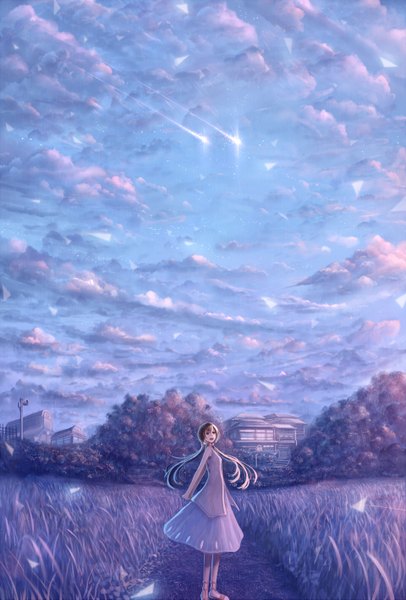 Anime picture 960x1419 with original bounin single long hair tall image fringe brown hair standing twintails brown eyes sky cloud (clouds) looking back low twintails shooting star field girl plant (plants) tree (trees) building (buildings)