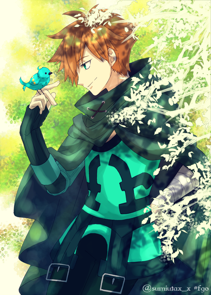 Anime-Bild 857x1200 mit fate (series) fate/extra robin hood (fate) kawasemi sumika single tall image fringe short hair smile brown hair green eyes signed profile hair over one eye hand on hip twitter username bird on hand boy animal bird (birds)