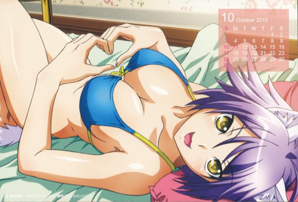 Anime picture 3489x2362 with kampfer single highres short hair breasts open mouth light erotic large breasts bare shoulders animal ears yellow eyes absurdres purple hair bare legs heart hands calendar 2010 girl swimsuit bikini bed
