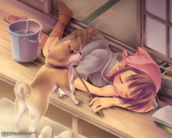 Anime picture 1280x1024 with original kiririn short hair brown hair lying eyes closed sleeping cleaning shiba inu girl animal socks shoes dog sliding doors slippers japanese house shouji striped socks headscarf