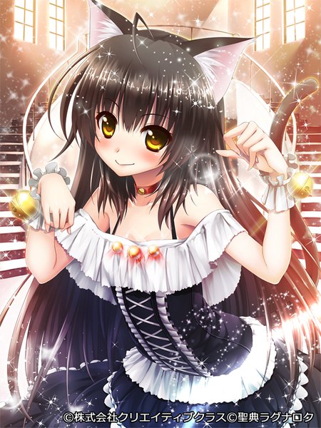 Anime picture 600x800 with seiten ragnarok pochadon single long hair tall image looking at viewer blush black hair smile animal ears yellow eyes tail animal tail cat ears cat girl cat tail girl dress frills