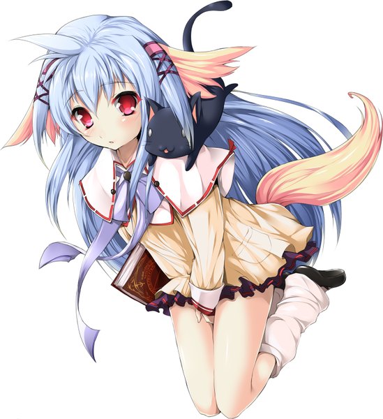 Anime picture 1484x1622 with nursery rhyme shikishima krile solru (tyappygain) single long hair tall image simple background red eyes white background animal ears blue hair tail animal tail girl dress animal socks book (books) cat gaiters