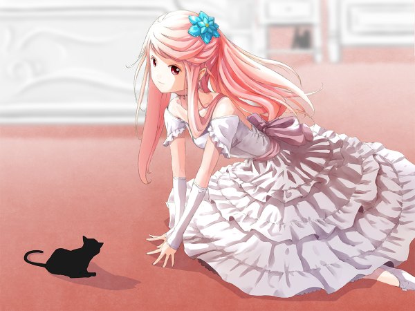 イラスト 1200x900 と オリジナル satyuas ソロ 長髪 赤い目 座る 肩出し ピンク髪 ポニーテール 影 割座 女の子 ドレス 髪飾り 袖だけ 動物 白いドレス 猫