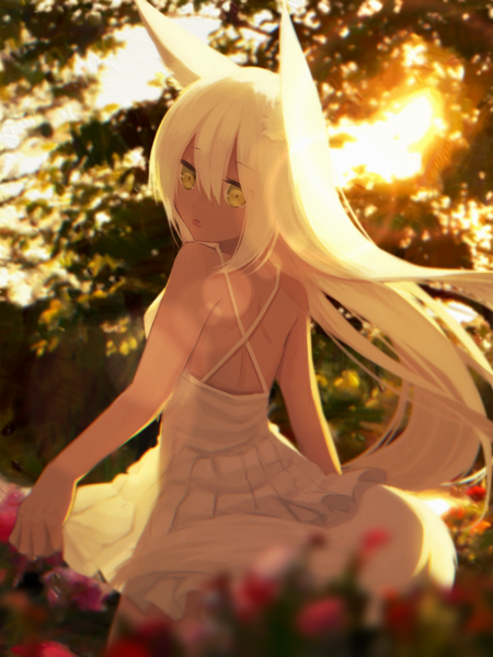 Anime picture 1537x2049 with original squallea single long hair tall image looking at viewer fringe open mouth hair between eyes bare shoulders animal ears yellow eyes white hair tail head tilt animal tail looking back from behind sunlight blurry