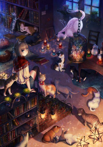 Anime picture 1413x2000 with original megumu tall image short hair blue eyes brown hair sitting animal ears cat ears cat girl girl thighhighs skirt black thighhighs miniskirt window book (books) cat shelf candle (candles)