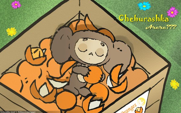 Anime picture 1680x1050 with cheburashka arere??? cheburashka wide image eyes closed wallpaper sleeping flower (flowers) toy stuffed animal fruit box orange (fruit)