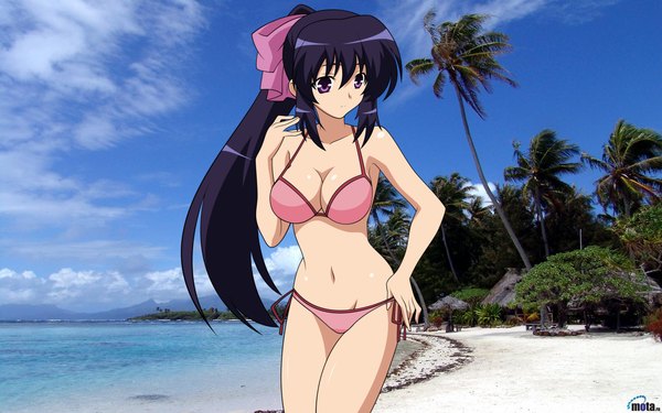 Anime picture 1680x1050 with omamori himari zexcs noihara himari long hair light erotic wide image purple eyes purple hair girl swimsuit bikini