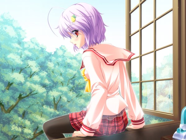 Anime picture 1024x768 with honey coming shichiri yuma short hair red eyes game cg purple hair girl serafuku